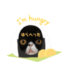 エキゾチックの博士スタンプ3（個別スタンプ：8）