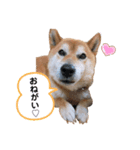 むさしおじさん（個別スタンプ：2）