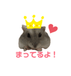 ハムスターがりちゃんスタンプ3（個別スタンプ：10）
