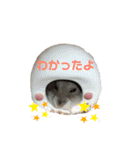 ハムスターがりちゃんスタンプ3（個別スタンプ：14）