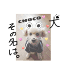 犬。その名もチョコ①（個別スタンプ：13）