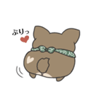 犬のぬーたん（個別スタンプ：3）