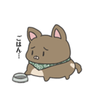 犬のぬーたん（個別スタンプ：5）
