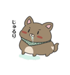 犬のぬーたん（個別スタンプ：6）