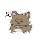 犬のぬーたん（個別スタンプ：14）