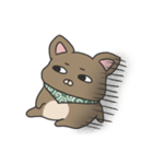 犬のぬーたん（個別スタンプ：15）