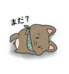 犬のぬーたん（個別スタンプ：24）