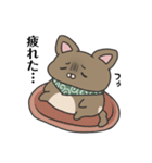 犬のぬーたん（個別スタンプ：25）