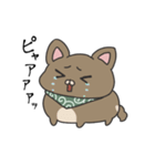 犬のぬーたん（個別スタンプ：34）