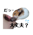もる＆ふーたん（個別スタンプ：6）