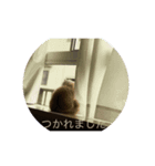 てぃむくん。（個別スタンプ：2）