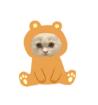 てぃむくん。（個別スタンプ：5）