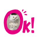てぃむくん。（個別スタンプ：8）