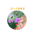 かわいい四季のお花の写真（個別スタンプ：4）