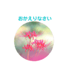 かわいい四季のお花の写真（個別スタンプ：6）