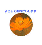 かわいい四季のお花の写真（個別スタンプ：9）