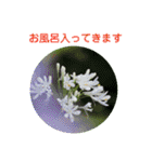 かわいい四季のお花の写真（個別スタンプ：31）