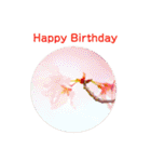 かわいい四季のお花の写真（個別スタンプ：40）