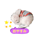 マルチーズ×チワワ レオンくん（個別スタンプ：8）