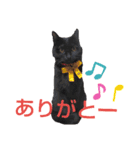 かわいさんちのぺっとたち  3  なかまたち（個別スタンプ：1）