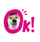 マル友です。（個別スタンプ：1）