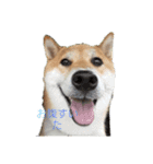 マル友です。（個別スタンプ：5）