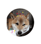 マル友です。（個別スタンプ：18）