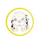 自己紹介スタンプ★05（個別スタンプ：11）