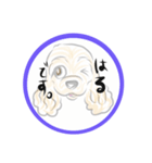 自己紹介スタンプ★05（個別スタンプ：19）
