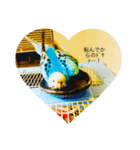 インコのピッポ（個別スタンプ：7）