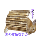 うさぎのとわちゃんの日常♪（個別スタンプ：4）