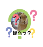 うさぎのとわちゃんの日常♪（個別スタンプ：18）