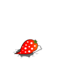 Strawberry emoticons .2/イチゴ2(no text)（個別スタンプ：3）