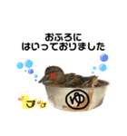 アヒルのおまぐ（個別スタンプ：2）