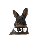 もちこといもこのひとことスタンプ（個別スタンプ：7）