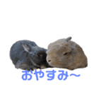 もちこといもこのひとことスタンプ（個別スタンプ：18）