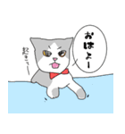 星と星空（個別スタンプ：1）