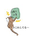 星と星空（個別スタンプ：5）