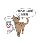 星と星空（個別スタンプ：11）