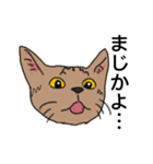 星と星空（個別スタンプ：12）