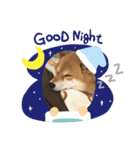 柴犬好き（個別スタンプ：2）