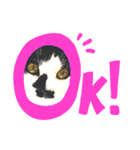 我が家のにゃこたち Part.1（個別スタンプ：4）