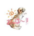 おめぐのスタンプ（個別スタンプ：1）
