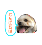 おめぐのスタンプ（個別スタンプ：2）