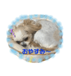 おめぐのスタンプ（個別スタンプ：3）