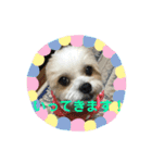 おめぐのスタンプ（個別スタンプ：4）