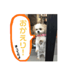 おめぐのスタンプ（個別スタンプ：6）