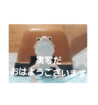 やもりーずchスタンプ（個別スタンプ：16）