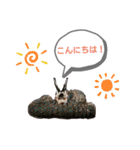 有田神楽くん（個別スタンプ：16）