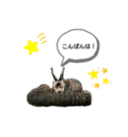 有田神楽くん（個別スタンプ：17）